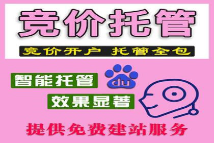 某行业竞价推广的挑战与机遇——多案例研究